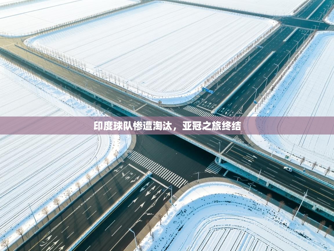 印度球队惨遭淘汰，亚冠之旅终结  第1张