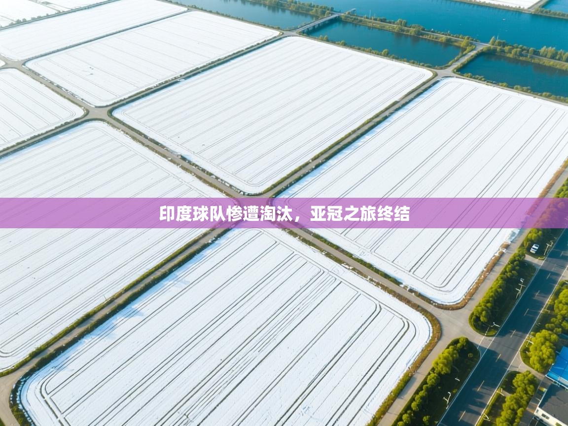 印度球队惨遭淘汰，亚冠之旅终结  第2张