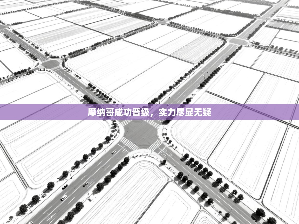 摩纳哥成功晋级，实力尽显无疑  第2张