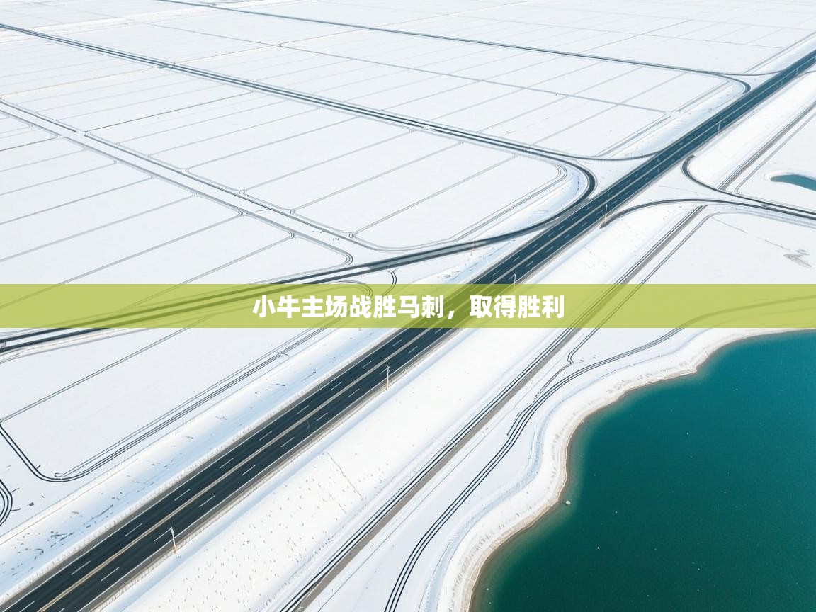 小牛主场战胜马刺，取得胜利  第1张